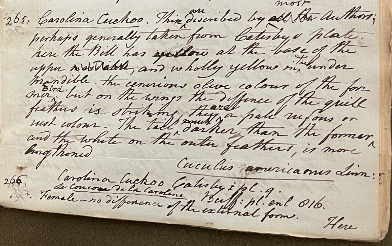 Lecture on Natural History 18