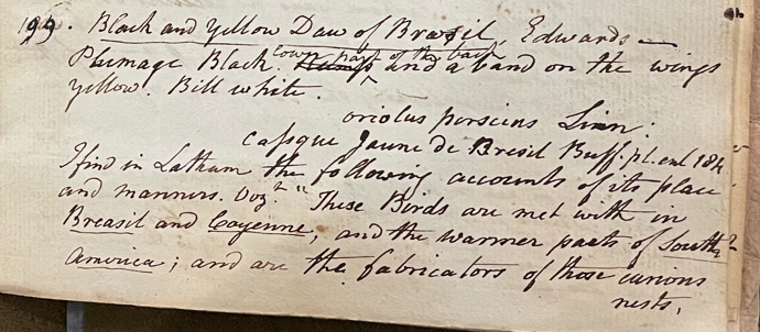 Lecture on Natural History 17