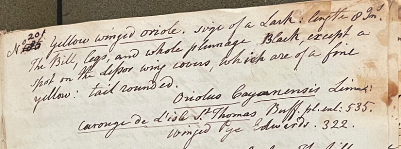 Lecture on Natural History 17