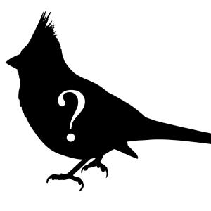 Silhouette of Cardinal, with question mark