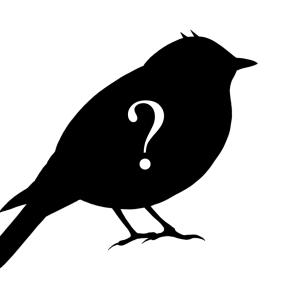 Silhouette of a bird, with question mark