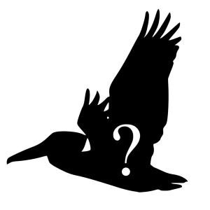 Silhouette of Pelican, with question mark
