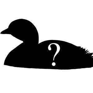 Silhouette of Grebe, with question mark