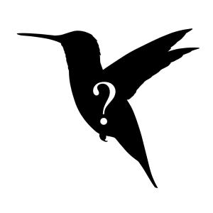 Silhouette of Hummingbird, with question mark