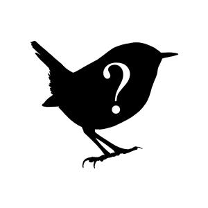 Silhouette of Wren, with question mark