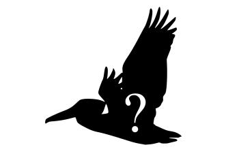 Silhouette of Pelican, with question mark