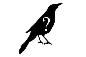Silhouette of Grackle, with question mark