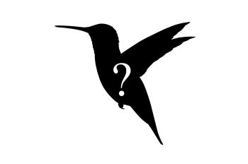 Silhouette of Hummingbird, with question mark
