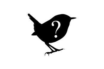 Silhouette of Wren, with question mark