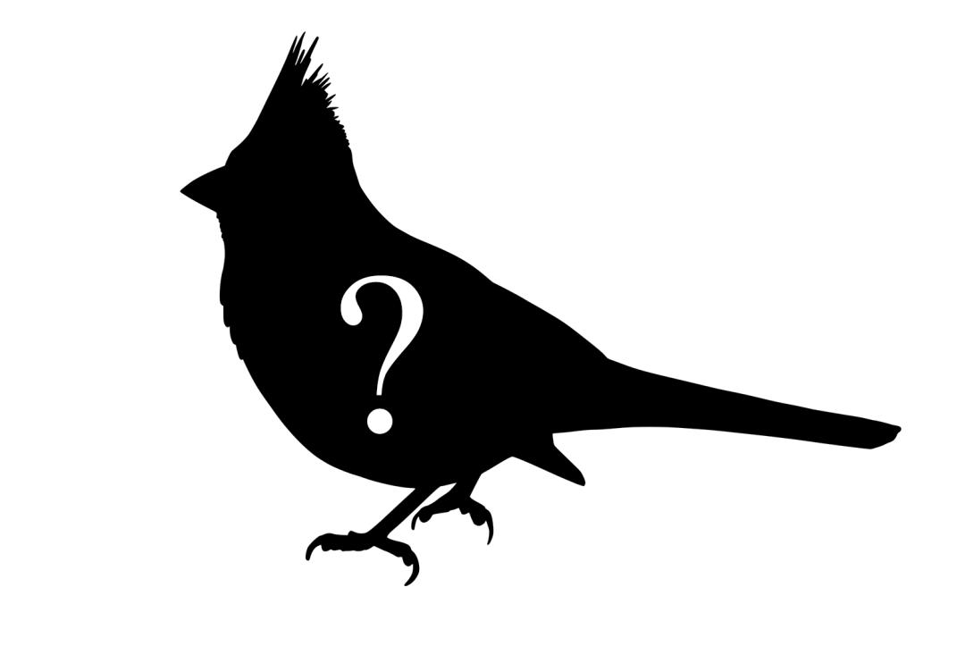 Silhouette of Cardinal, with question mark